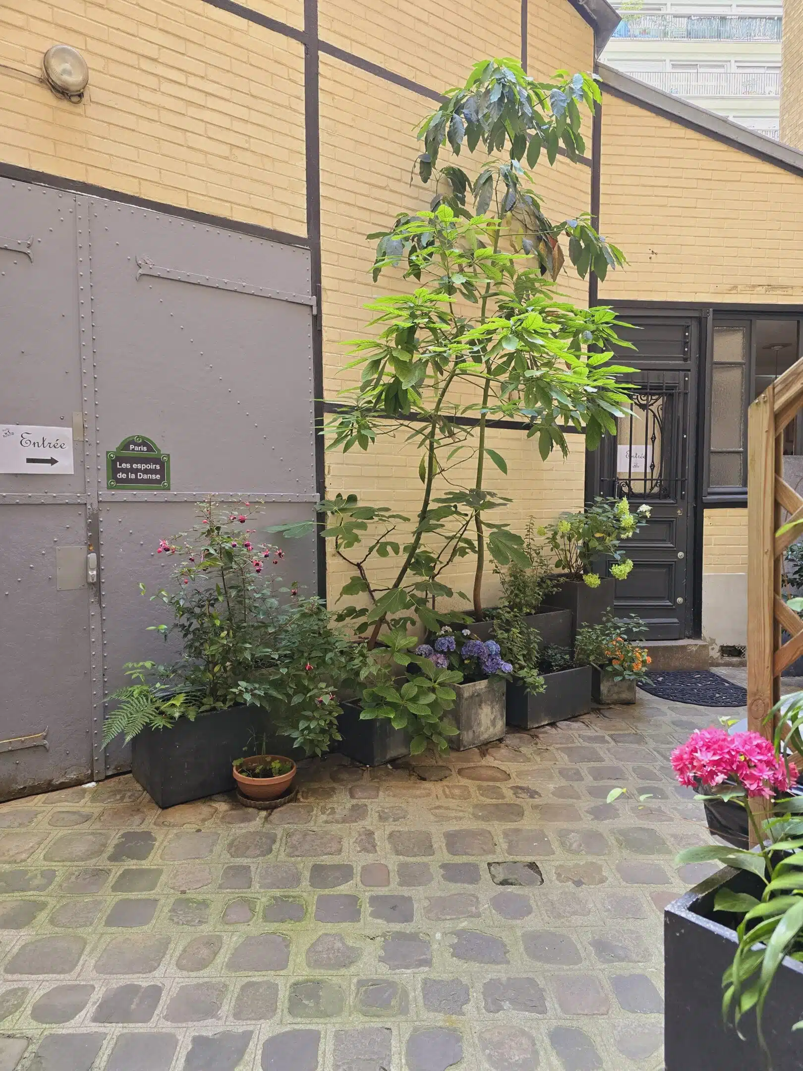 Cour ou jardin Cours de danse enfants adultes à Paris 75018